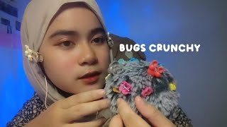 Bugs Crunchy
