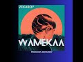 official audio) Vekaboy _ WAMEKAA