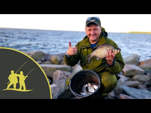 Рыбалка на фидер на Северной дамбе Финского залива