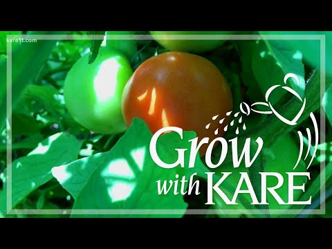 Grow with KARE: Garden tour in Plymouth