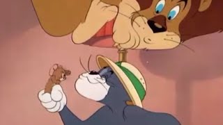 Tom And Jerry - Jerry And The Lion