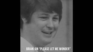 Watch Brian Wilson Please Let Me Wonder video