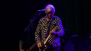 Watch Robyn Hitchcock The Lizard video
