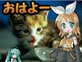 動画サムネイル