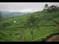 Kerala Tourism - Munnar Trip-Difftechnology