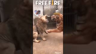 Free fire 🔥 vs Pubg attitude status!! Lion vs tiger fight #shorts #lionvstiger