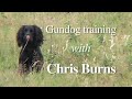 Shooting Times gundog training
