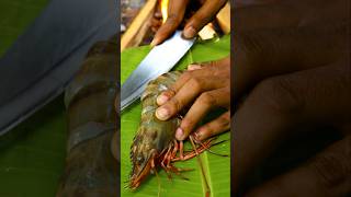 Giant Tiger Prawns Grilled