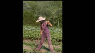 Watch Stefanie Sun Honey Honey video