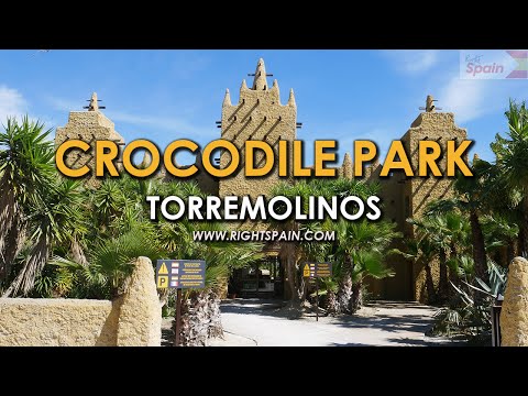 Crocodile Park Torremolinos Spain 2016 Crocodile Park Torremolinos Spain 2016