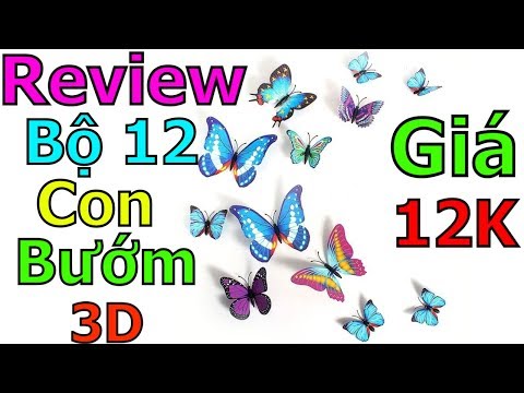 Trên Tay Bộ 12 Bướm 3D - dán tường nhìn như thật