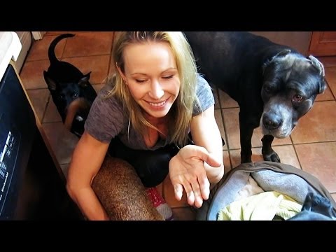 Zuzka & Jesse's Blistered Almonds are YUMMY!! Zuzka & Jesse's Blistered Almonds are YUMMY!! klip izle
