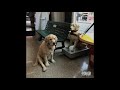 view Sub