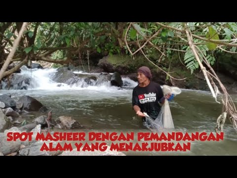 DI SINI NIH SPOT MASHEER MASIH BANYAK