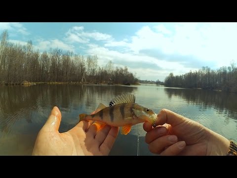 ловля на микроджиг в апреле ловля на микроджиг в апреле
