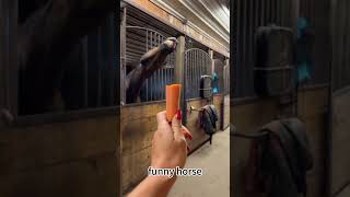 Funny Horse