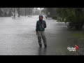 Hurricane Florence: Deer interrupt reporter in North Carolina as flooding continues