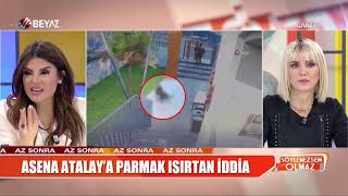 Köpek Kediyi Parçaladı Vicdansız Kadın Sadece Izledi