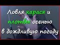 Поплавочная рыбалка в конце лета. Ловля карася и плотвы в дождь. Поплавочная рыбалка в конце лета. Ловля карася и плотвы в дождь.