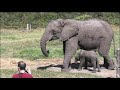 Garden Route HD - South Africa Travel Channel 24