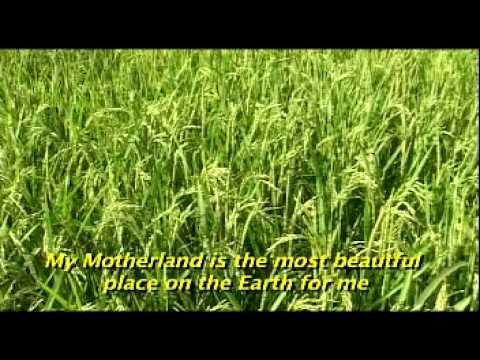 Rich with beauty and food grains -...