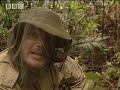 Smoking Out a Wasp Nest for larvae - Ray Mears Extreme Survival - BBC
