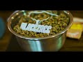 Different Raccs Video preview
