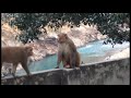 Видео india trip road movie 2016 Видео india trip road movie 2016