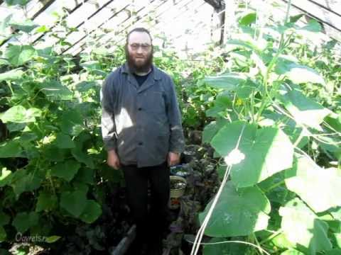 Праздничные конкурсы, игры, эстафеты для детей и родителей Штраф за пьяную езду в 2018 - за вождение в нетрезвом виде
