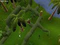 Runescape quest: Back to my roots (jungle vine maze)