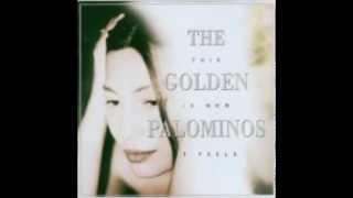 Watch Golden Palominos Breakdown video