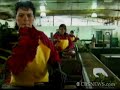 Colombia Blooms for Valentine's Day