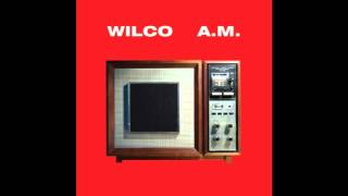 Watch Wilco Shouldnt Be Ashamed video