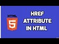 How to use href attribute in HTML | HTML5 Tutorial