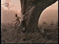 Rod Stewart - Shotgum Wedding