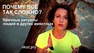 Выбор Партнёра: Почему Все Так Сложно? // Лекция 