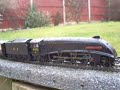 The Clay Hill Line OO Live Steam Garden Railway