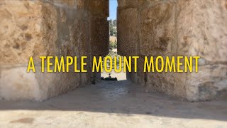 A Temple Mount Moment: Herod's Temple Mount Expansion