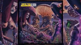 Watch Infected Mushroom Dracul video