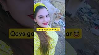 Mayin Esar Shabboda