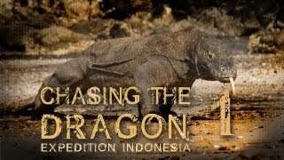 Komodo dragons VS film crew: Ch...