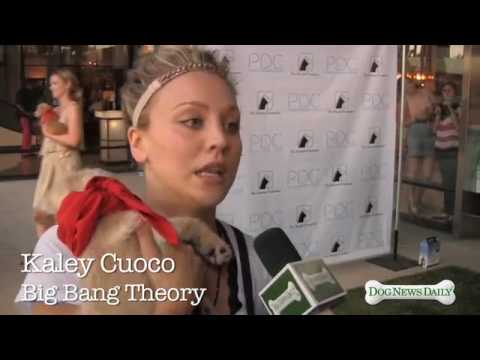 DOG NEWS DAILY Chats with KALEY CUOCO star of the BIG BANG THEORY on the