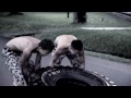 "Ah Boys To Men 3: The Frogmen" Training Teaser