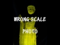 WRONG SCALEーPHOTO.