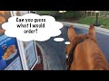 McDonalds: 'drive-thru' vs 'ride-thru' with a horse!