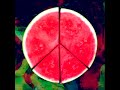 PEACE - California Daze klip izle