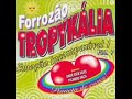 forrozão tropykália planeta de cores