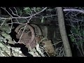 Creepy Sounds Captured in an Abandoned Mine While Reviewing the ThruNite TN12 Flashlight