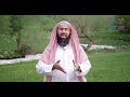 مشاهد
