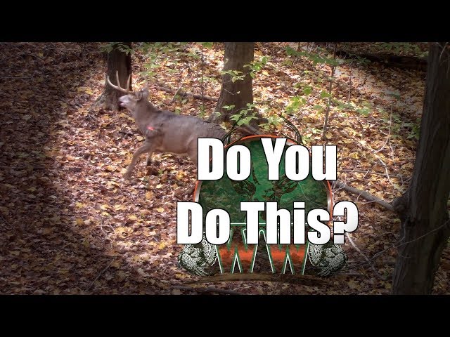 Watch Deer Bow Hunting Tips  | How to Prepare for the Shot on YouTube.